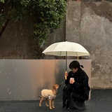给我闭嘴😺