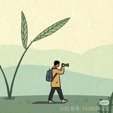 琦