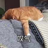 hagasei的鲨鱼