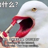 没事不用说话