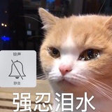 喜欢吃橙子