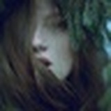 鱼禾苏