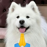 ✌