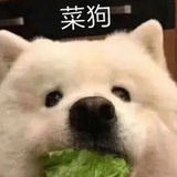 耐寒土豆