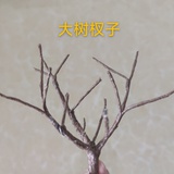 哎呦喂