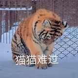 바이요