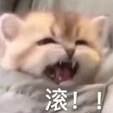 噗叽噗叽