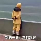 YY