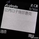 大毛在树上睡觉