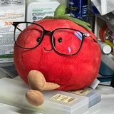 甜甜的西红柿🍅