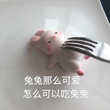 哲夕儿
