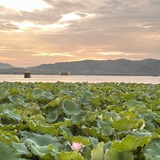 岁月静好