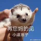 钮祜禄氏