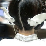 量子青花
