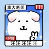 根本不嗑