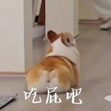 沙土无籽大西瓜