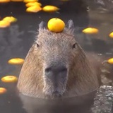 红包两块