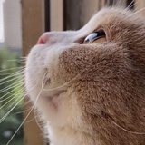 往事如风