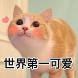 橘子不是橘子🍊