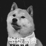 闪