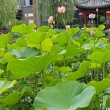 不忘初心