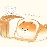 橘喵也想喝奶茶