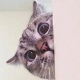 啊这