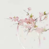 季节