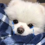 宝宝