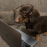 就像风住了风又起