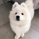 豆友220812859