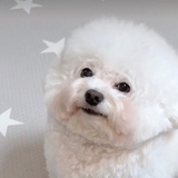 劲爆的榴莲披萨