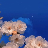 绿了芭蕉；