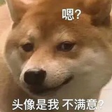 芥是麻啊