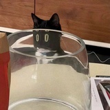 让我看看