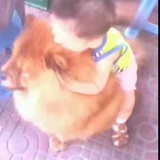 我心由我