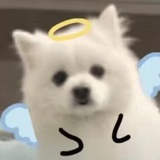 咿呀哟