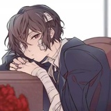 双黑冲