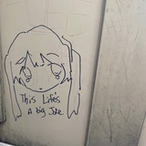 少掉点头发行不