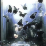 廿九