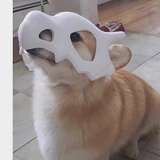 ：-D