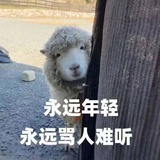 羊羊羊小阳