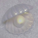 橘子汽水O