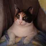 醒