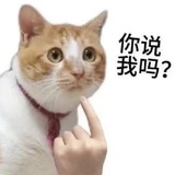 野心家