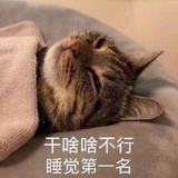 兔酱