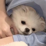 我只想睡觉