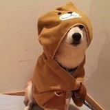 YAN