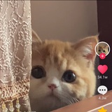 626号实验品