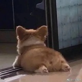 女青年